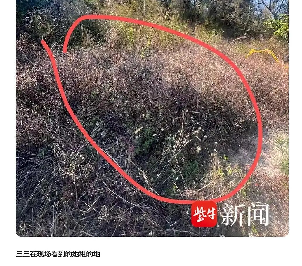 中产最烧钱的户外运动：种地 - 17