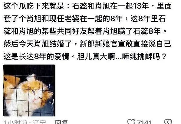 男演员结婚当天翻车！恋爱13年里出轨8年，竟还敢高调秀恩爱官宣（组图） - 8