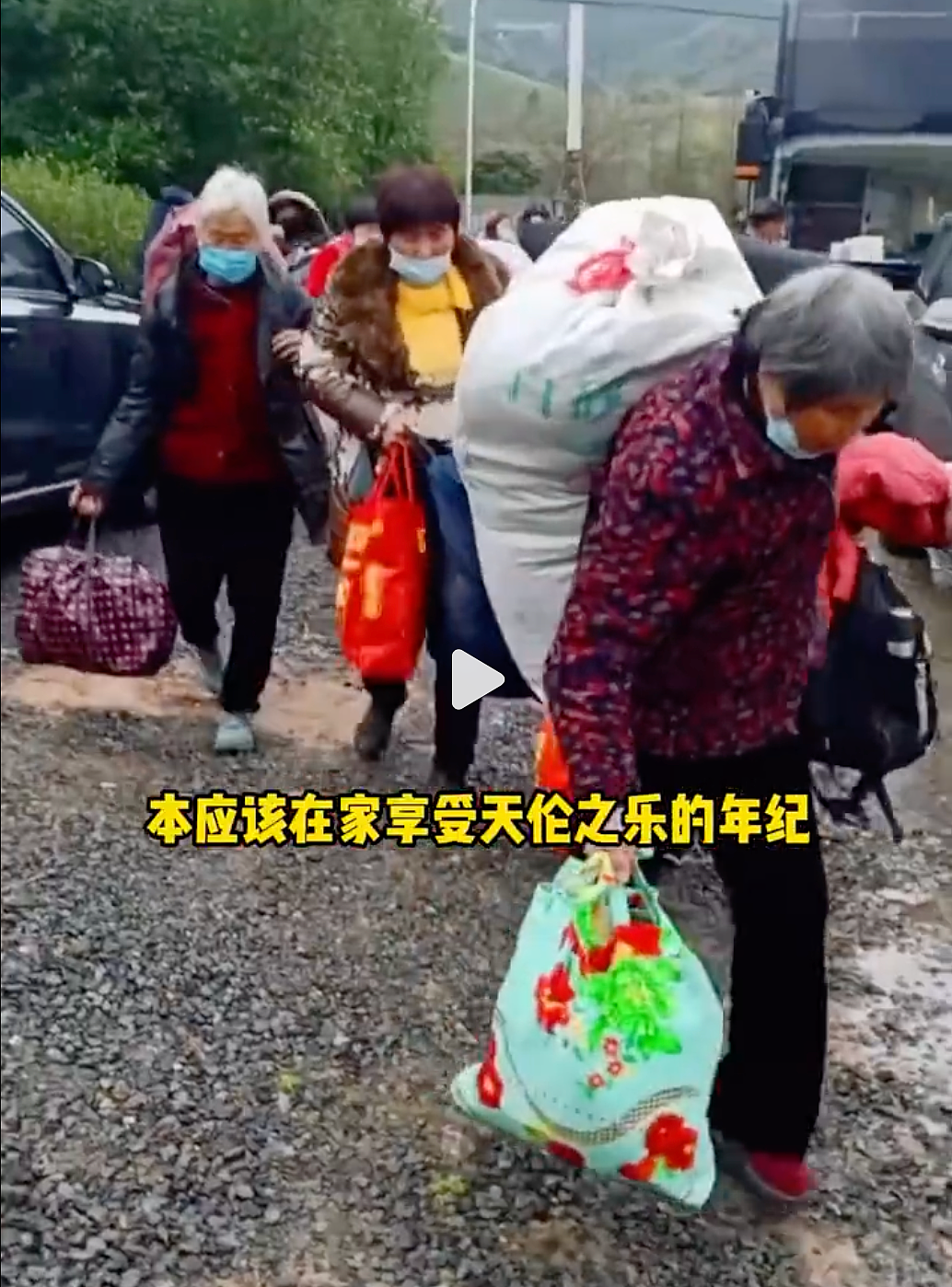 “浙江采茶女”最窒息一幕冲上热搜:天价茶叶和她们形成鲜明对比 - 5