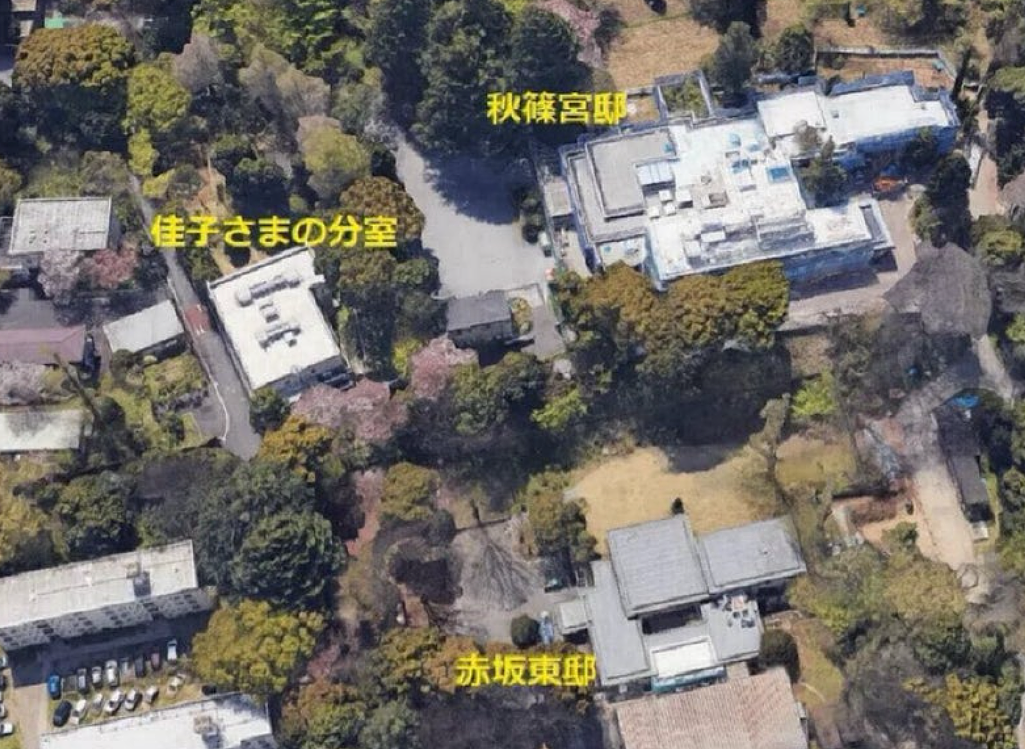 日本皇室公开哭穷!秋筱宫白拿1亿零花钱却大喊“钱不够花”,日网友:废除皇室算了!(组图) - 12