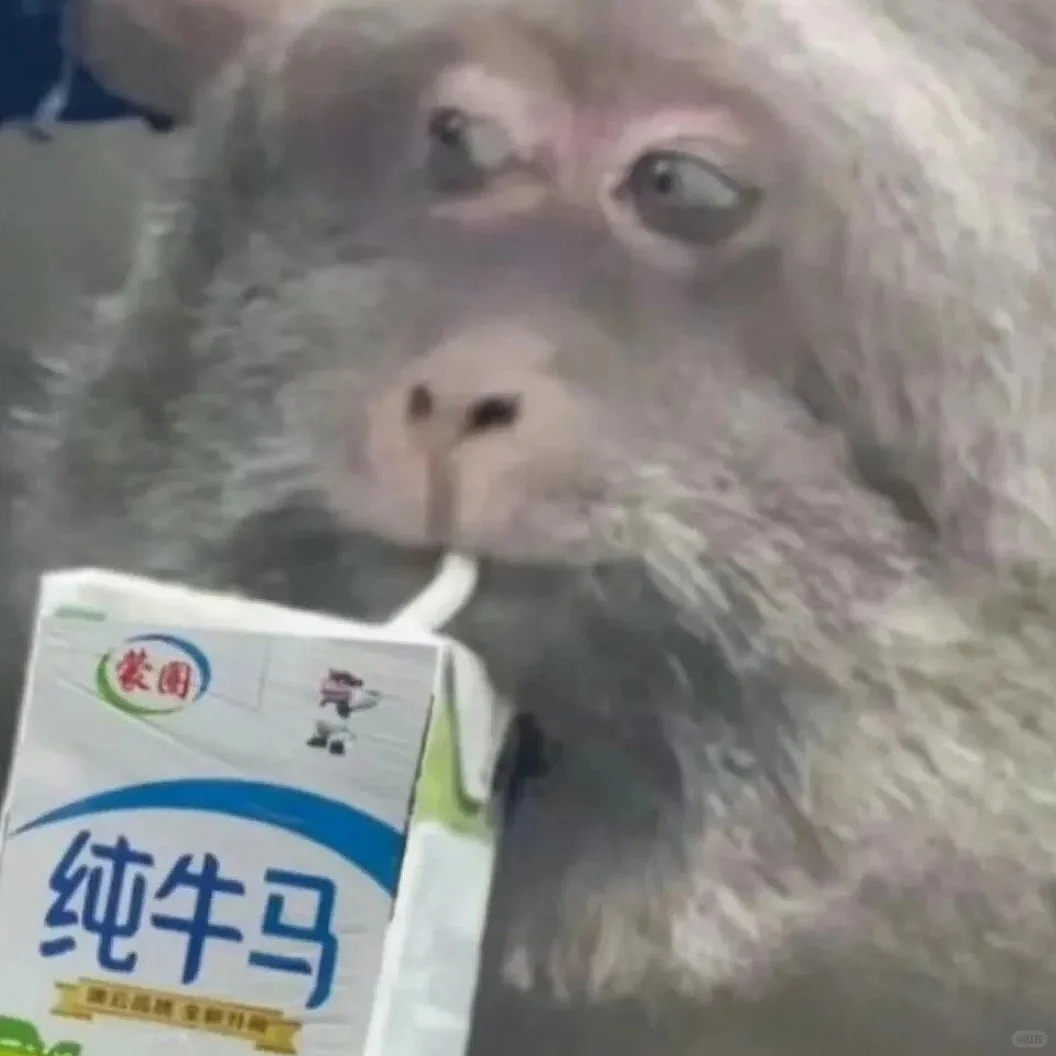 上班真会变丑!外网博主分享上班前后“班味”对比,网友落泪:是我本人(组图) - 22
