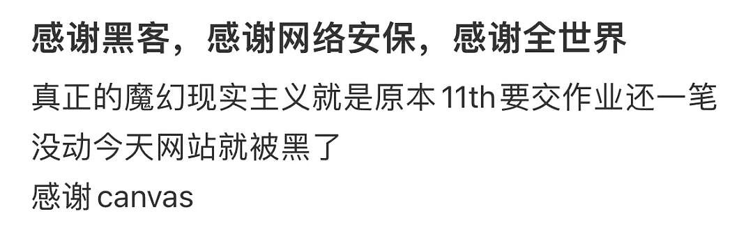 全球高校崩溃！上课软件Canvas被黑，2.75亿条数据泄露，留子狂喜：不用期末考试了？（组图） - 6