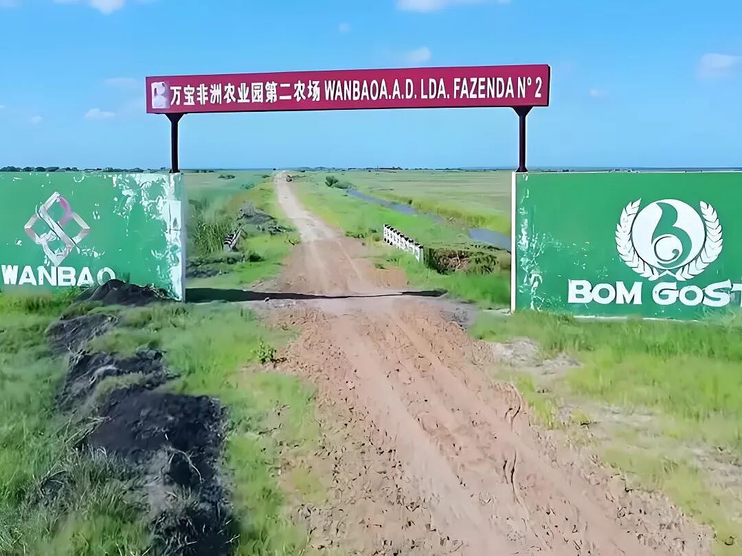 现实版顶级爽文!中国“种地仙人”勇闯非洲,混成当地大佬:AK保镖开路、专车接送(组图) - 31
