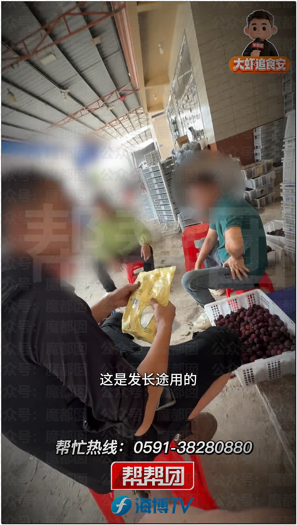 气到发抖！我们吃了那么多年杨梅竟都浸泡防腐剂和化学糖精（组图） - 28