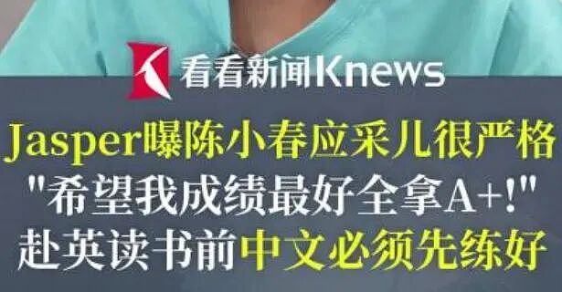 国际学校的孩子，已经不会讲中文了（组图） - 8