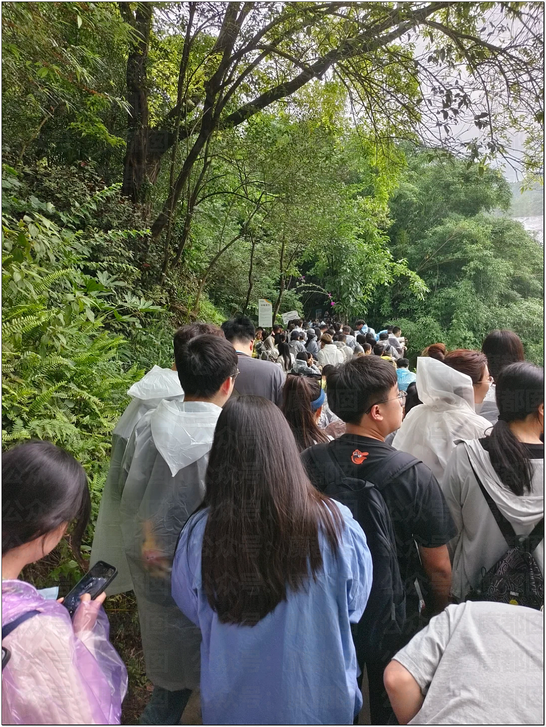 肉贴肉，人挤人！五一长假首日，中国各大景点已爆（组图） - 127