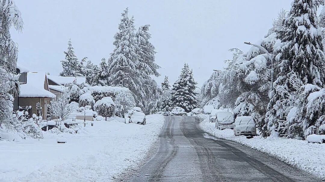 新西兰一地进入紧急状态!25厘米暴雪砸下,华人游客被困,发贴“求出逃”...(组图) - 20