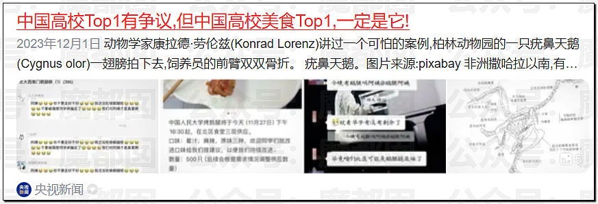 “鹅腿阿姨”刷爆热搜！靠一只鸭腿骗了巨量清北高材生（组图） - 4