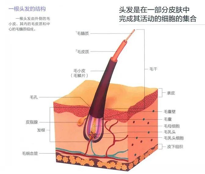 理发店，为什么很难活下去？（组图） - 4