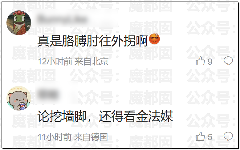 LV起诉茉莉奶白商标侵权判赔千万！传统宝相花纹样归属引热议（组图） - 20