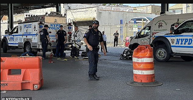 凌晨2点，7名男子突然从纽约下水道爬出！接下来一幕让警察都懵了（组图） - 6