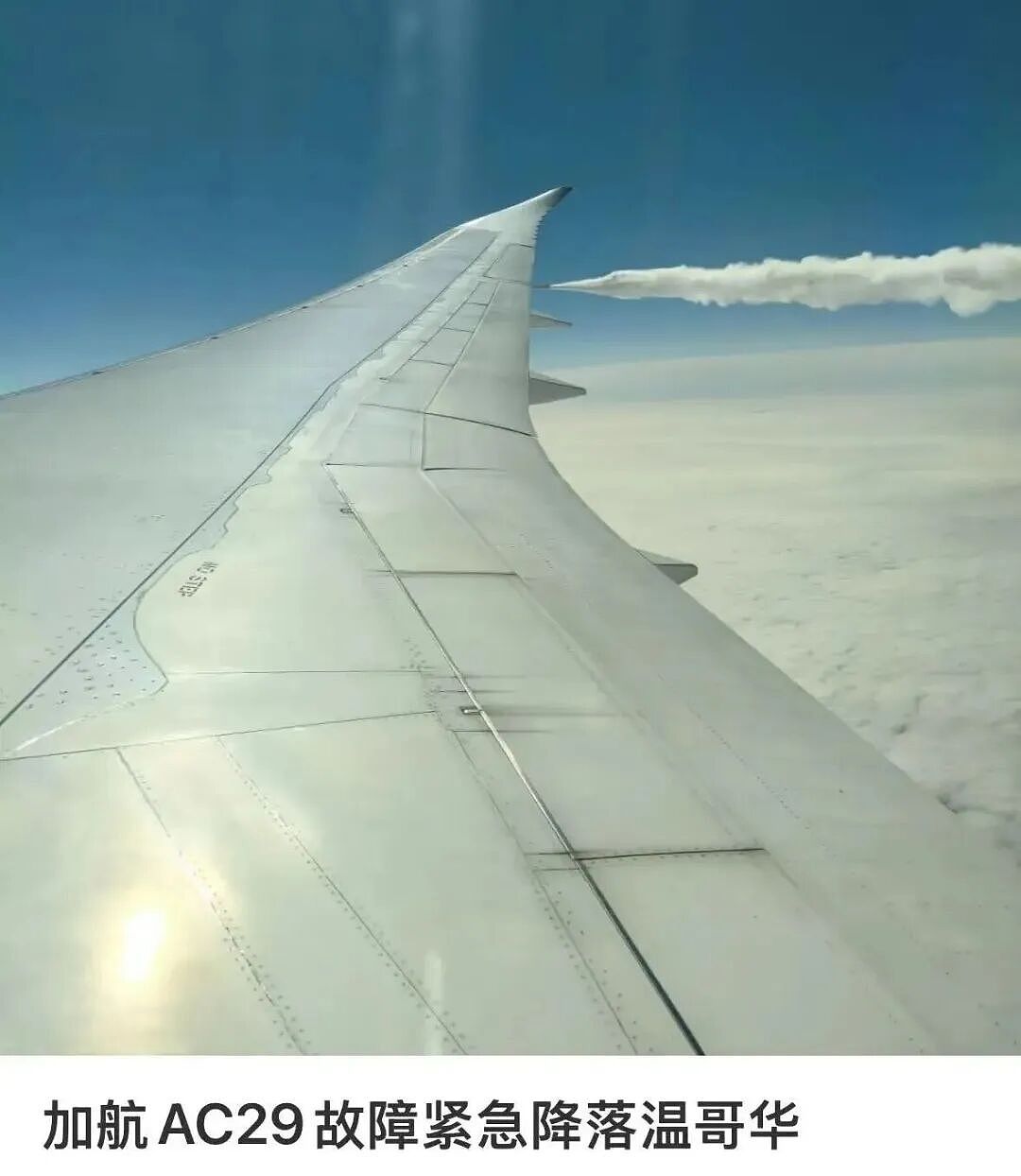 惊魂!回国航班突然掉头,万米高空排油紧急迫降!华人大哭机长崩溃...(组图) - 1