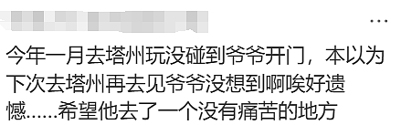 无数华人震惊又难过!那个备受喜爱的澳洲袋熊爷爷,突然去世了! - 34