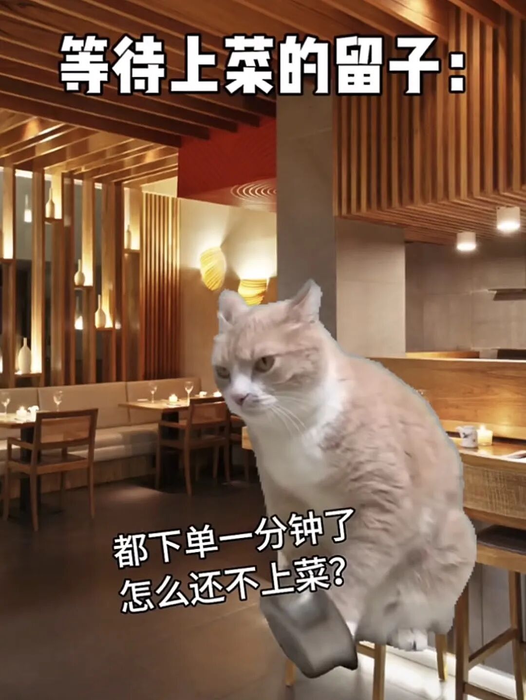 20天胖7斤！留学生回到中国“报复性进食”，话题引网民热议（组图） - 3
