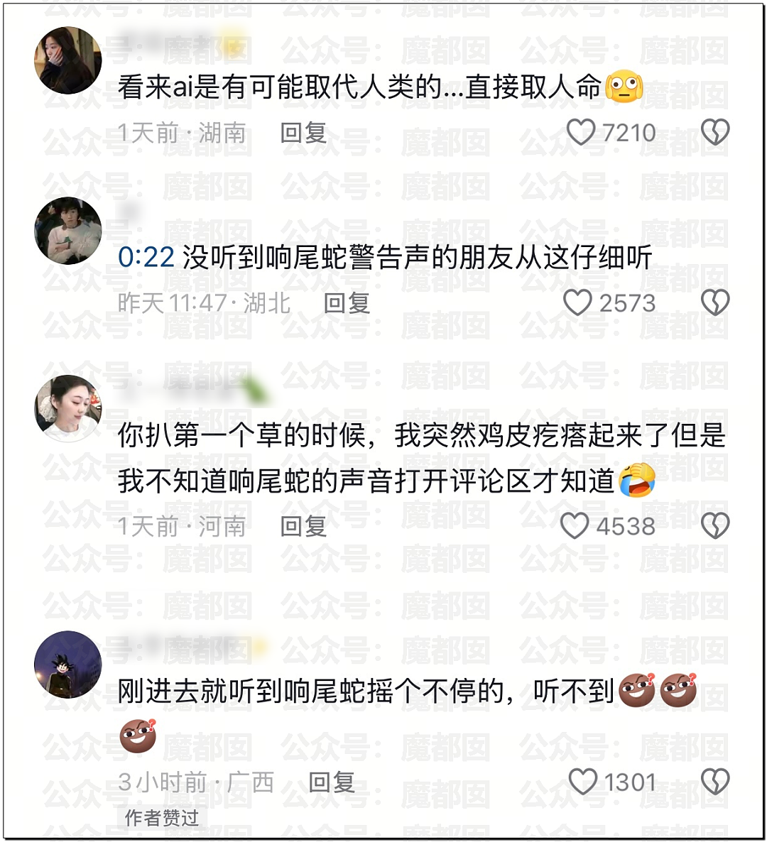 全网骇然！女生被AI带入剧毒蛇窝！遍地响尾蛇险些命丧当场（组图） - 62