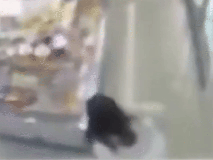 炸裂!女生在便利店蹲下当众排泄,中途还不停移动?全程被监控拍下! - 3