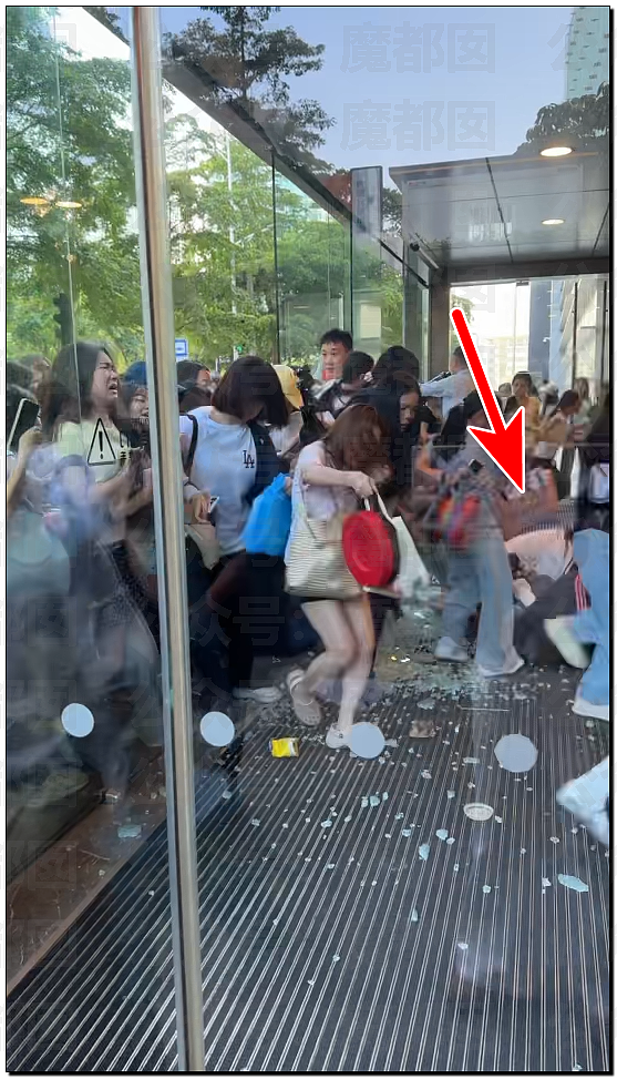 张凌赫粉丝活生生挤爆玻璃大门!多人流血受伤+摔倒在玻璃渣上(组图) - 55