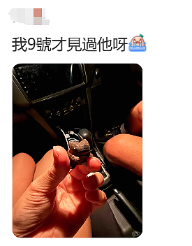 无数华人震惊又难过!那个备受喜爱的澳洲袋熊爷爷,突然去世了! - 11