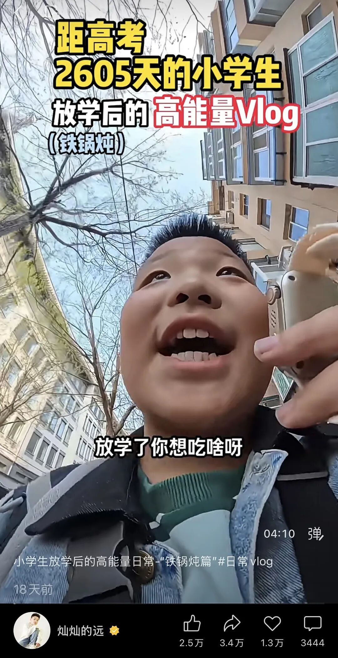 600万粉丝求同款的小孩哥,全靠背后的“摆烂妈”? - 1