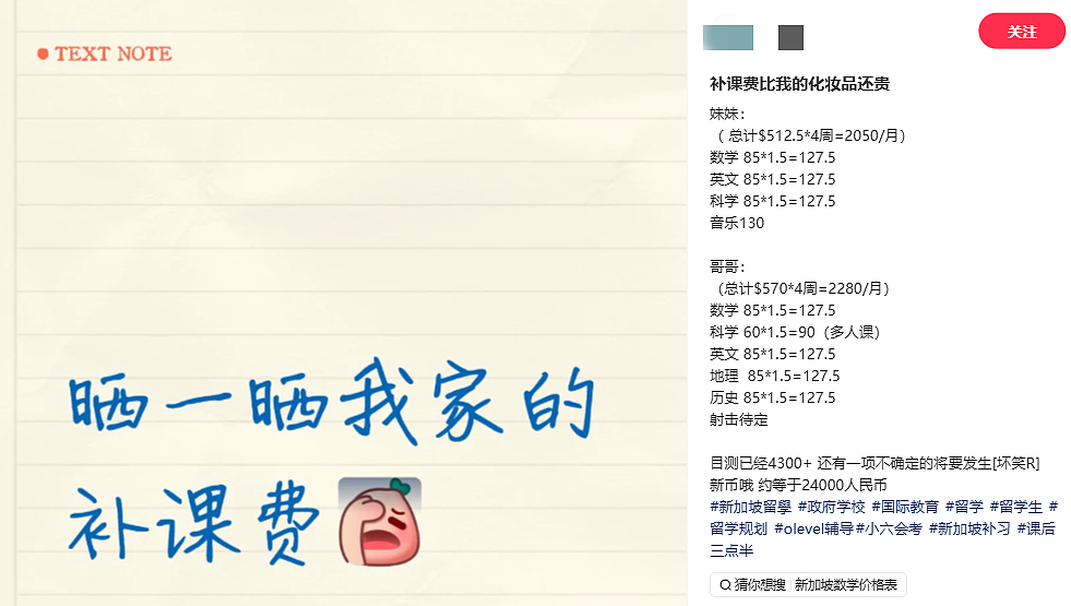 新加坡登顶全球最累国家!95%老板拒4天工作制、周均工时超45小时(组图) - 21