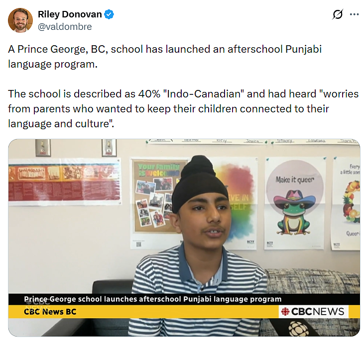 “滚回印度!”40%学生为印度裔,加拿大小学开设旁遮普课程引争议(组图) - 4