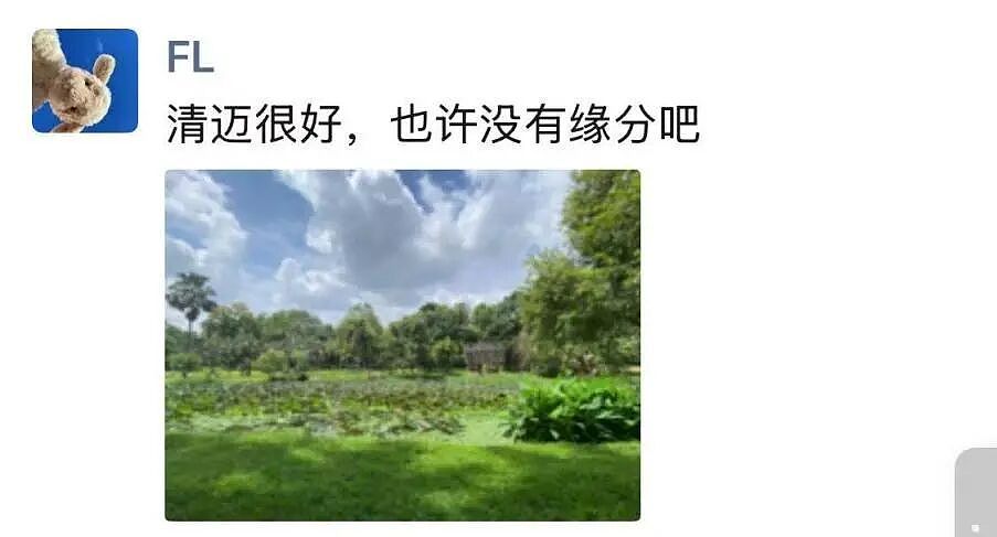 出国的中产后悔了：想回来，但回国失败（组图） - 11