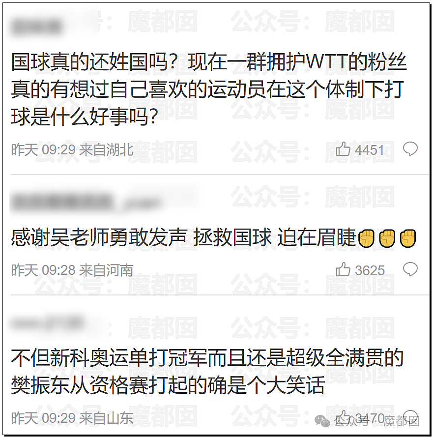 鞠婧祎税务调查结果出炉！到底是谁那么恨樊振东？脸都不让露？（组图） - 48