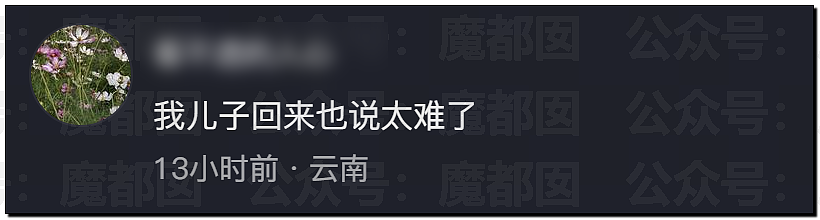 多地中考考生哭着走出考场，有人当场拉裤子里…到底怎么了？ - 51