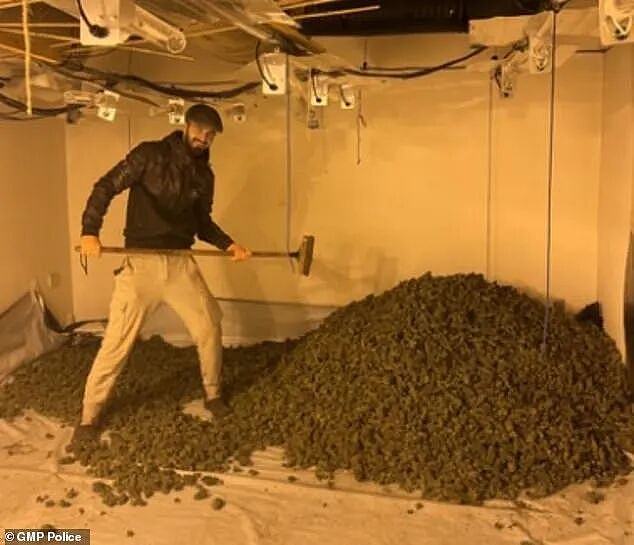 大麻贩子兴奋和整堆大麻合影，最后因合照入狱，警方：都不用费心找证据了（组图） - 9