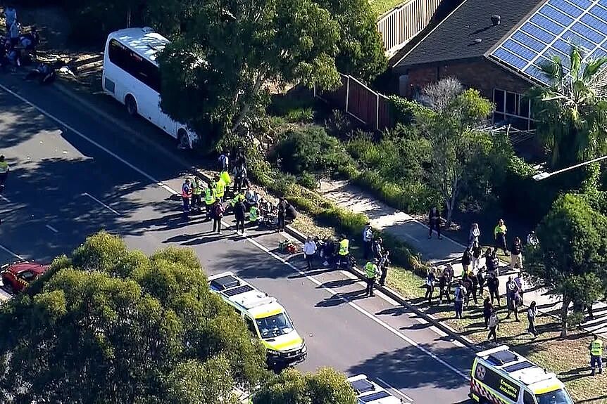 澳洲警车撞死了过马路的女子;10名学生受伤,一辆校车今天撞了树 - 4