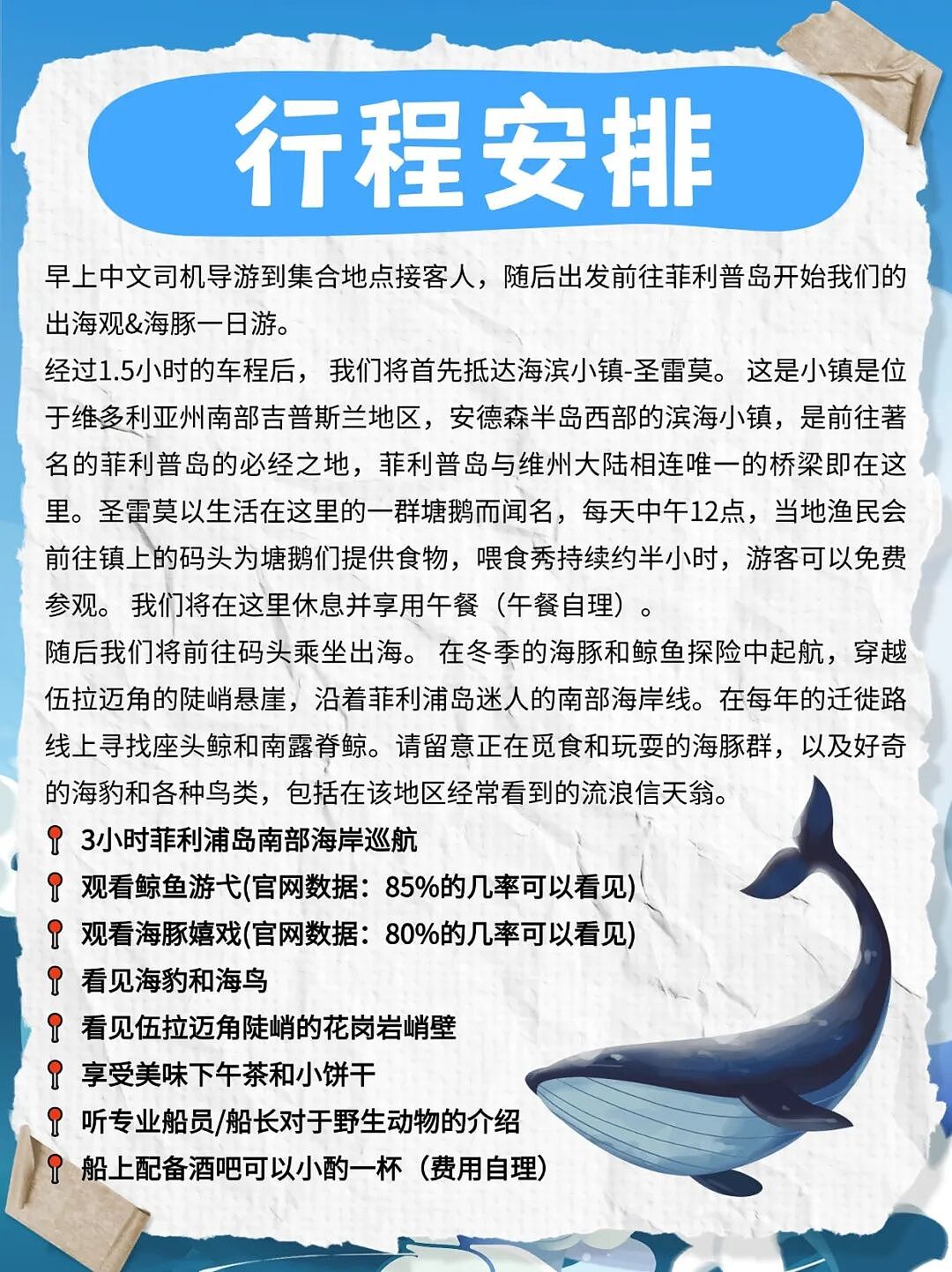 冬天来墨尔本，千万别错过这场限定海上奇遇！ - 3