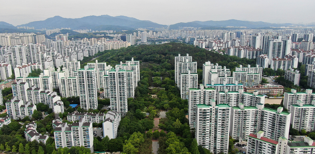 一天涨5%一天跌8%,韩国散户越爆仓越梭哈 - 17