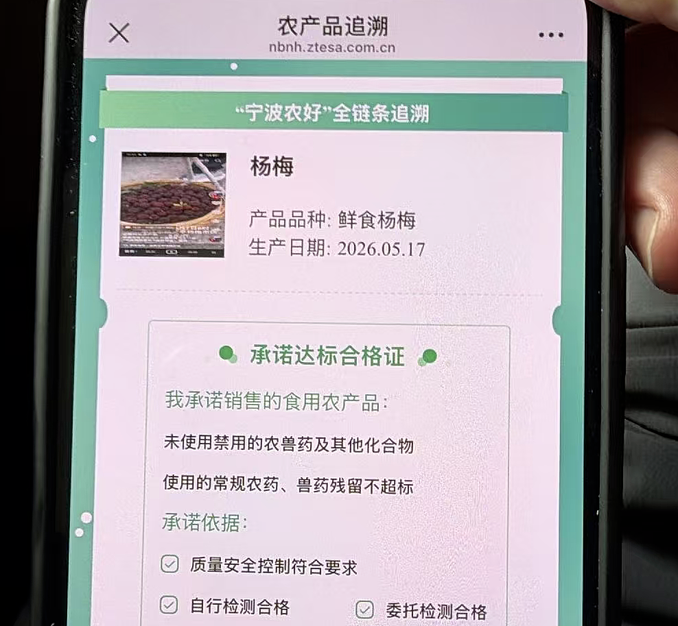 人人喊打的“泡药杨梅”，被自己人坑惨了（组图） - 29