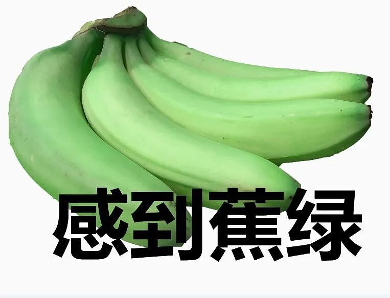 公积金兜底、住房无忧...被吹上天的新加坡养老模式,竟藏着不为人知的扎心真相~ - 15