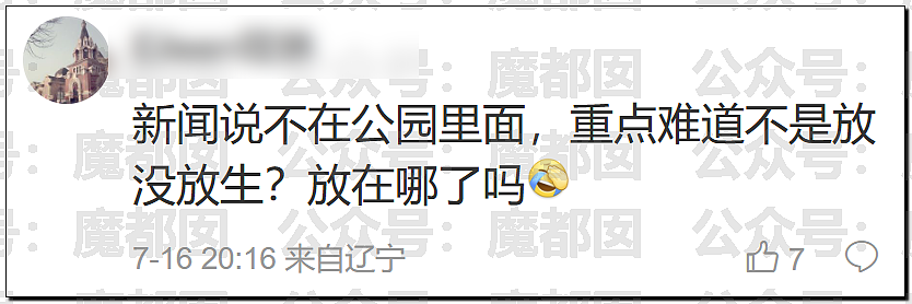 热搜第一！曝00顶流偶像生因不正当男女关系PC进过警察局 - 18