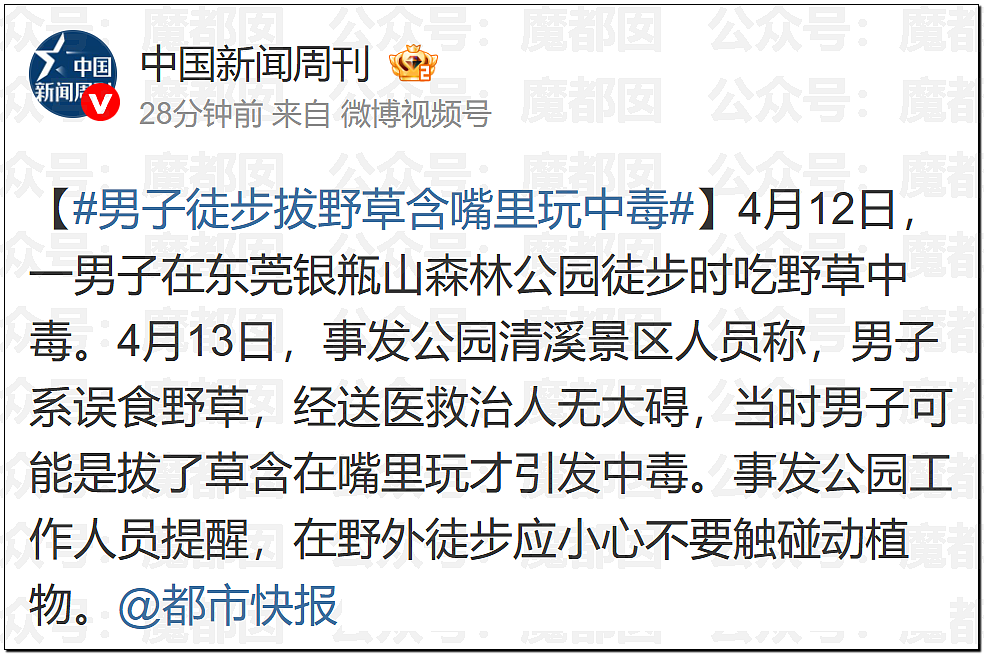 炸裂！表妹哺乳期出G已婚表哥，8年妻子竟默许，完整版监控曝光！（组图） - 50