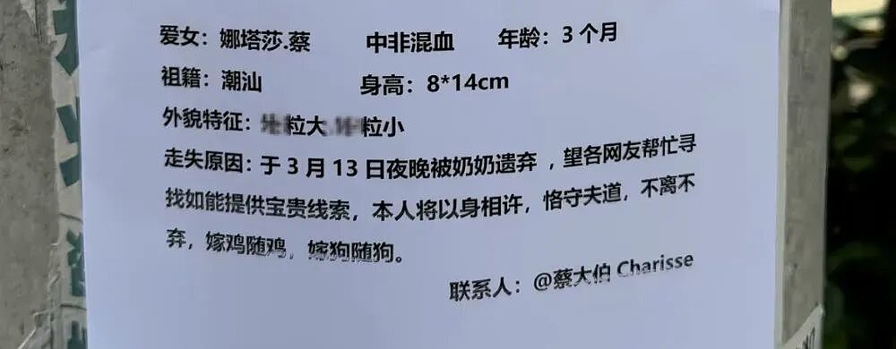 全网追着养的“丑娃”娜塔莎，已经被玩坏了 - 2