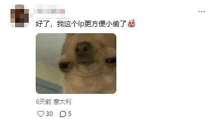 买菜风时尚单品？设计师把超市购物车做成了单肩包，细节满分，但啥也装不了！网友：不如巴黎世家垃圾袋使用 - 14