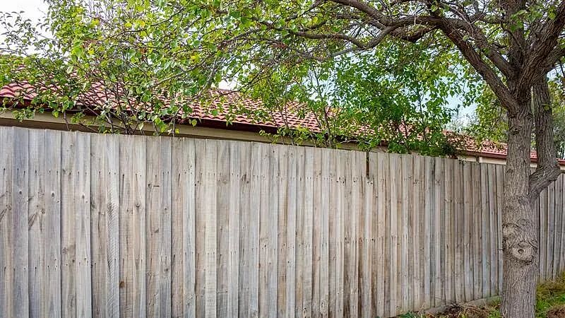 树枝过界、树根损房？澳洲专家详解邻里树木纠纷：这三类情况最常见 - 2