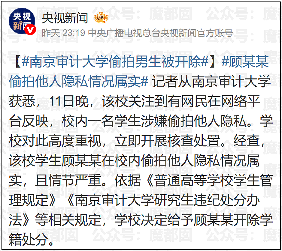 惊悚!全国各地树上忽然集中出现大量诡异奇怪符号!真相是? - 12