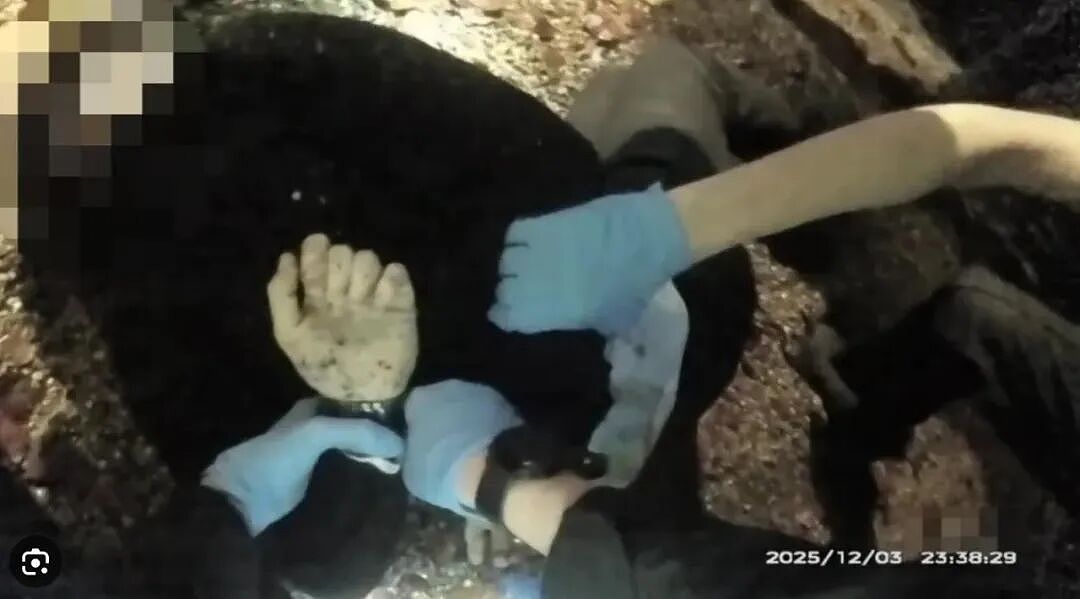 “白人的命也是命！”两起血案把火烧到新西兰：有人呼吁禁止带这种刀上街 - 13