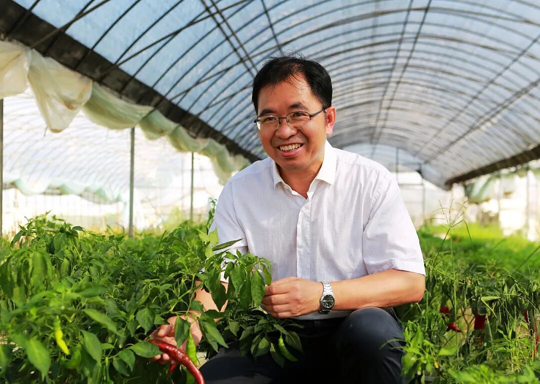 小小辣椒，何以成就千亿产业？（组图） - 3