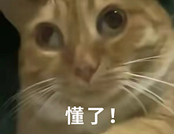 被AI诬陷入狱160天,美国大姐跌入斩杀线(组图) - 13