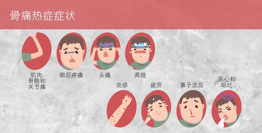 单周激增54起、近700人感染，新加坡这一病例连续攀升！中国多地拉响警报… - 13