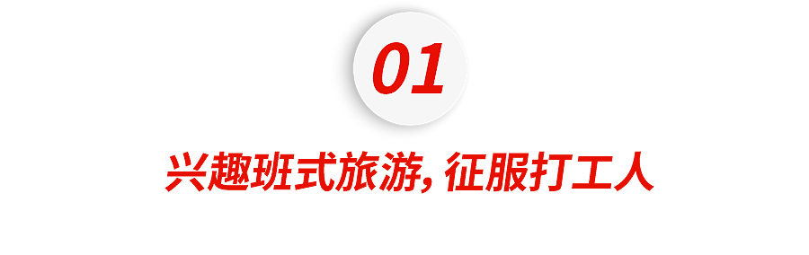 放弃出片的中产，挤爆“旅游兴趣班” - 1